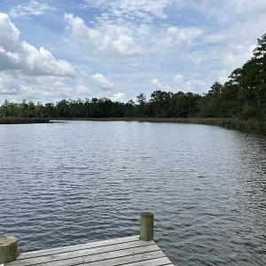 Photo #29 of 103 and 104 Garbacon Drive, Beaufort, NC 10.5 acres