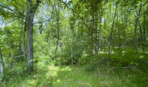 Photo #16 of Off Centennial Drive , Yanceyville, NC 4.0 acres