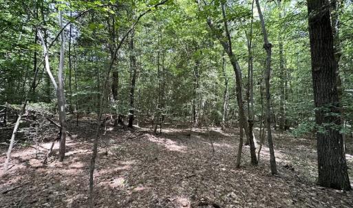 Photo #7 of 3767 Colonial Trail East , Surry, VA 5.9 acres
