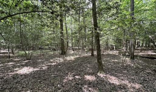 Photo #18 of 3767 Colonial Trail East , Surry, VA 5.9 acres