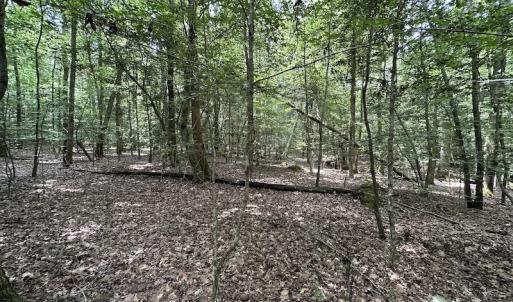 Photo #23 of 3767 Colonial Trail East , Surry, VA 5.9 acres