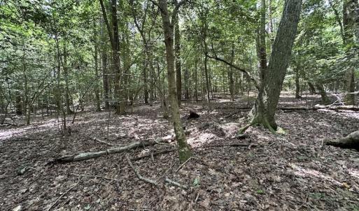 Photo #26 of 3767 Colonial Trail East , Surry, VA 5.9 acres