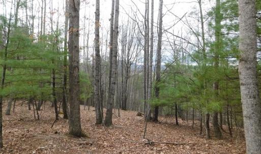 Photo #12 of Off Riverside Drive, Independence, VA 16.6 acres