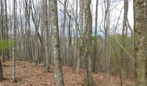 Photo #16 of Off Riverside Drive, Independence, VA 16.6 acres