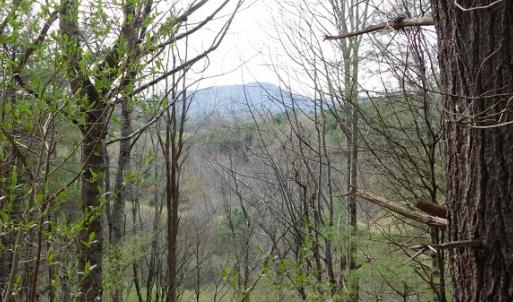 Photo #23 of Off Riverside Drive, Independence, VA 16.6 acres