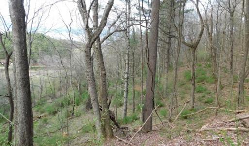Photo #26 of Off Riverside Drive, Independence, VA 16.6 acres